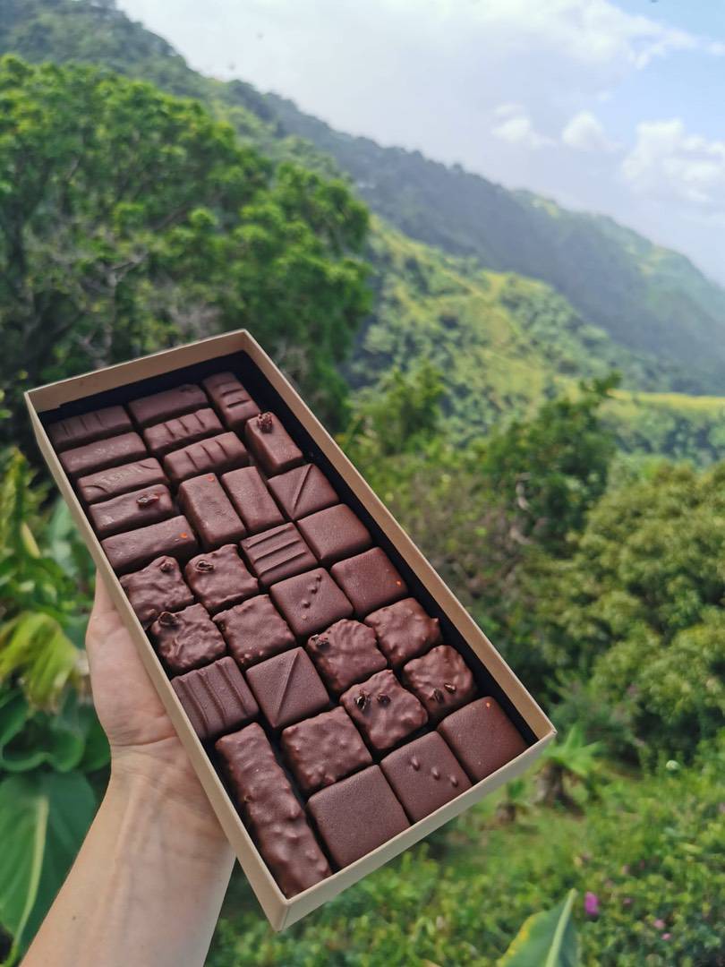 A hand holds a box of assorted dark chocolates made from fine flavour cocoa, with a lush green mountainous landscape in the background. | Trinitario