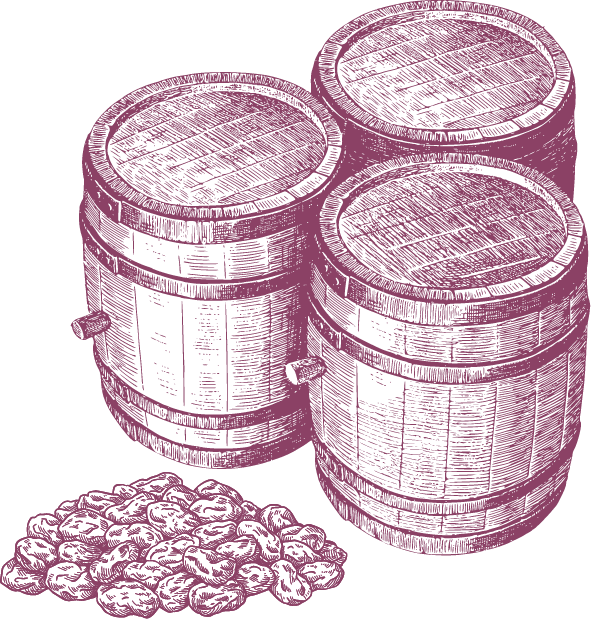 Illustration of three wooden barrels standing upright next to a pile of potatoes, evoking the rustic charm often found in single-origin chocolate and hand-crafted chocolate production. | Trinitario